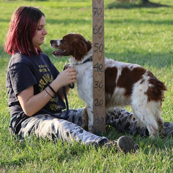 Dick breton cercacasa Foto 3