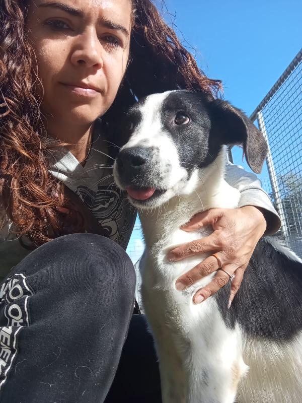 Snoopy, taglia media! (25kg) Foto 4