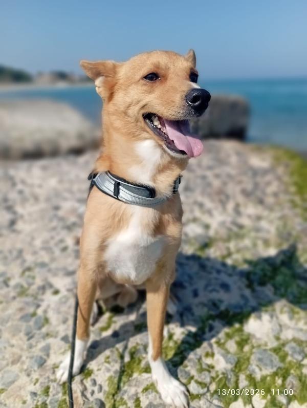 TAGLIA PICCOLA NINO Foto 4