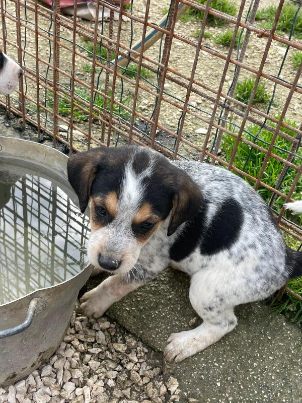 CELIA ASPETTA TE Foto 2