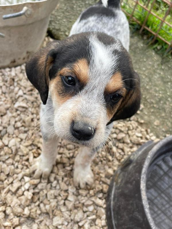 CELIA ASPETTA TE Foto 3