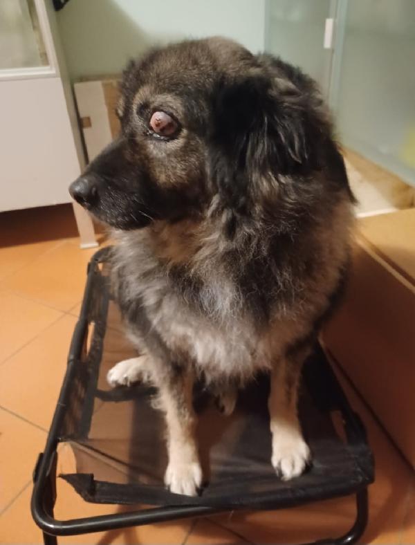 Maschio 9Anni Picchiato Pesantentemente Puglia.. 