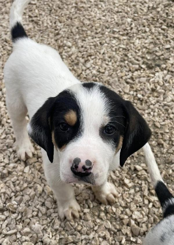 LEONE e SELENE Foto 3