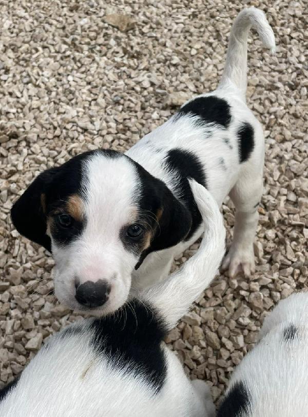 LEONE e SELENE Foto 6