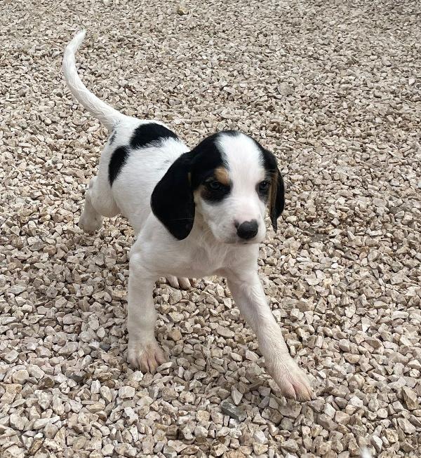 LEONE e SELENE Foto 7