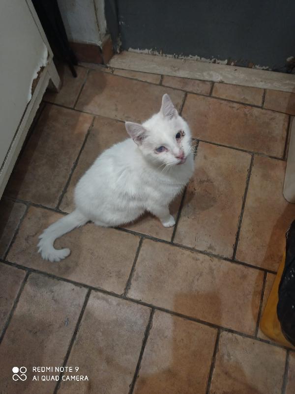 URGENTE: LUIGI 8 ANNI RIMASTO SOLO Foto 2