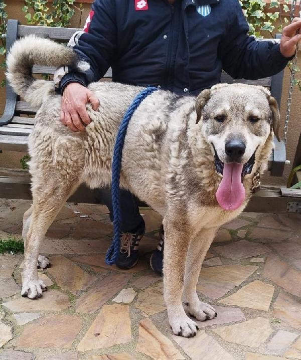 Una Mamma Per Biagio 