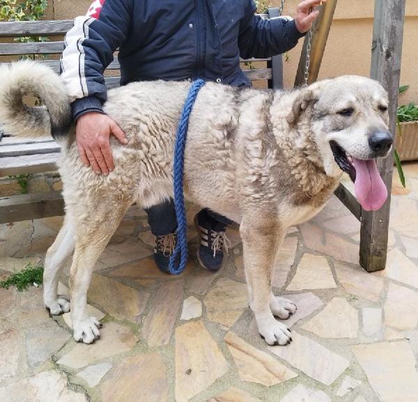 UNA MAMMA PER BIAGIO  Foto 2