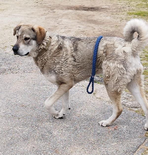 UNA MAMMA PER BIAGIO  Foto 3