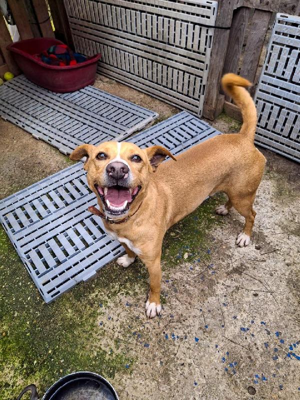 Spillo🌹♥️ Foto 2