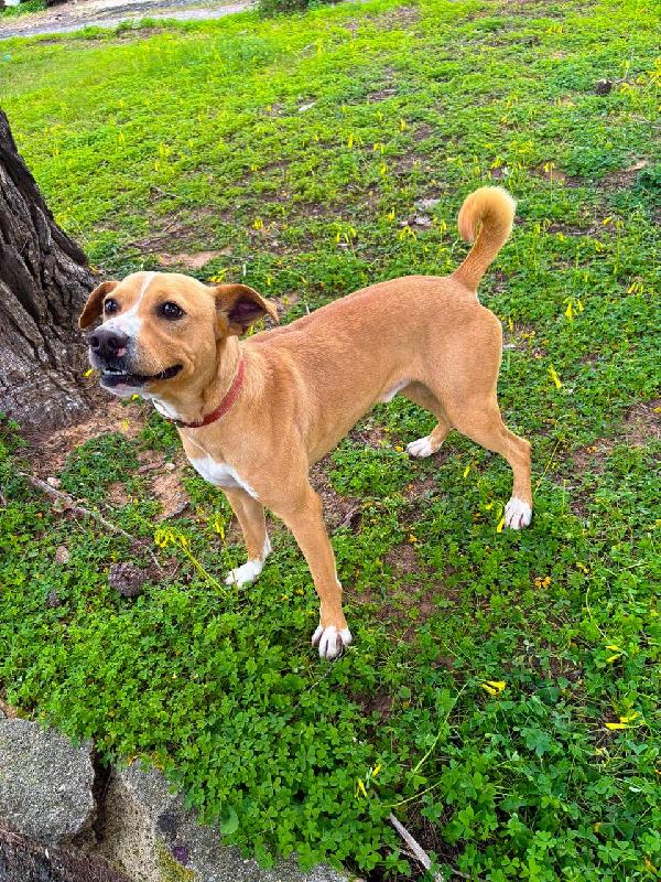 Spillo🌹♥️ Foto 3