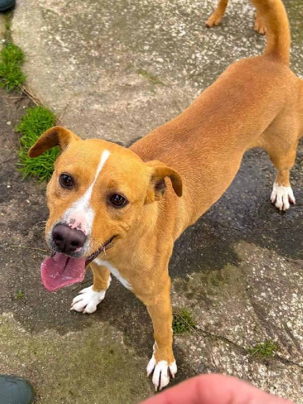 Spillo🌹♥️ Foto 4