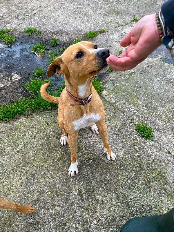 Spillo🌹♥️ Foto 5