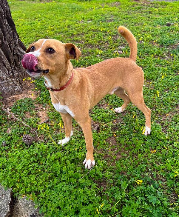 Spillo🌹♥️ Foto 6