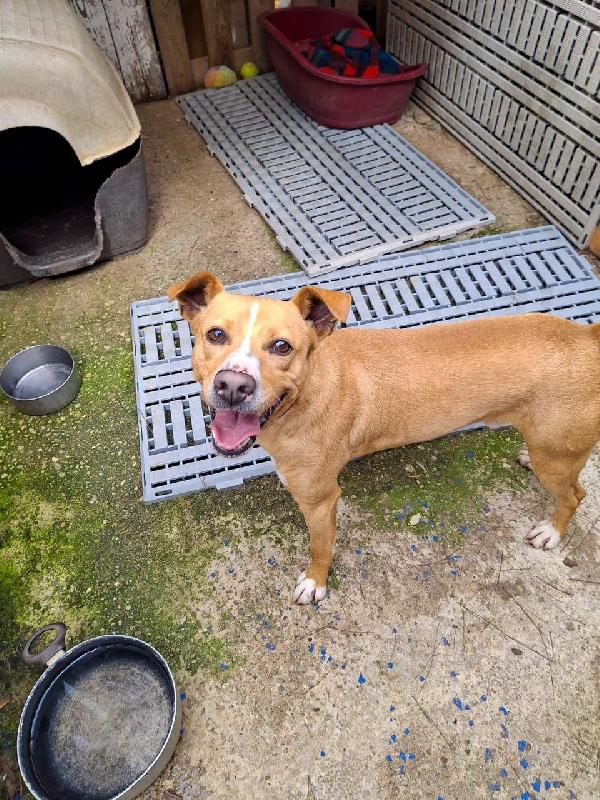 Spillo🌹♥️ Foto 7