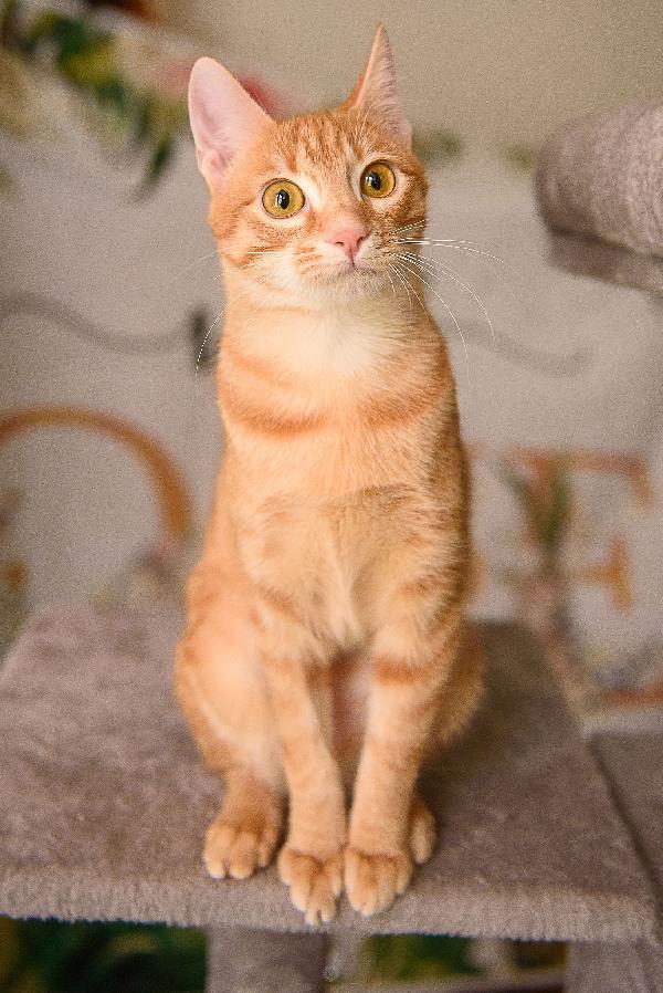 Zoe aspetta da mesi, aspetta te Foto 4