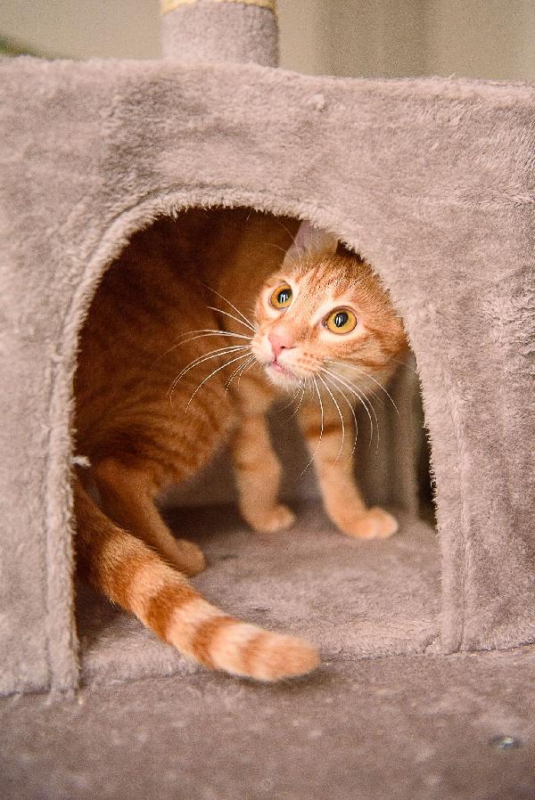 Zoe aspetta da mesi, aspetta te Foto 5