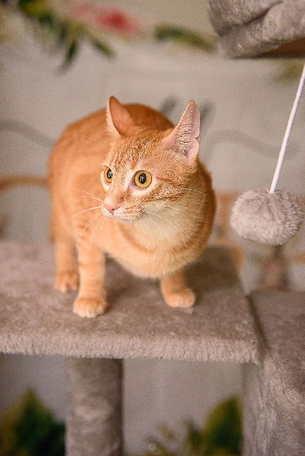 Zoe aspetta da mesi, aspetta te Foto 7