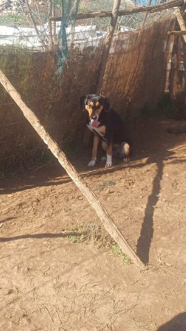 Zaccheo 🥺🥺🥺🥺🥺🥺