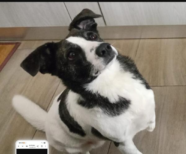 Luce Femmina 3Anni Tripode Adoz.urgente! Stallo Finitoooo 