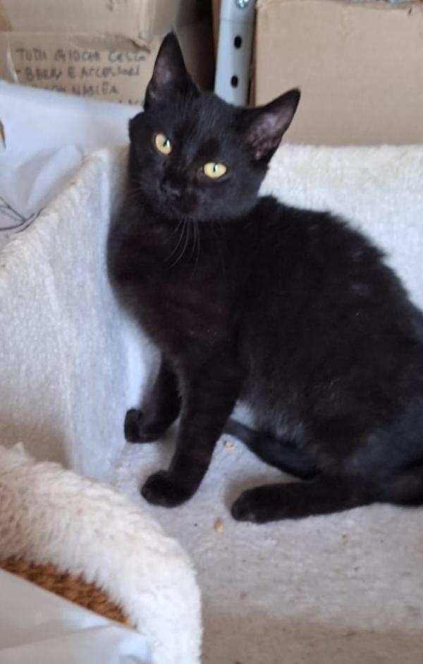 Mulan e Merida, aspettano te Foto 2