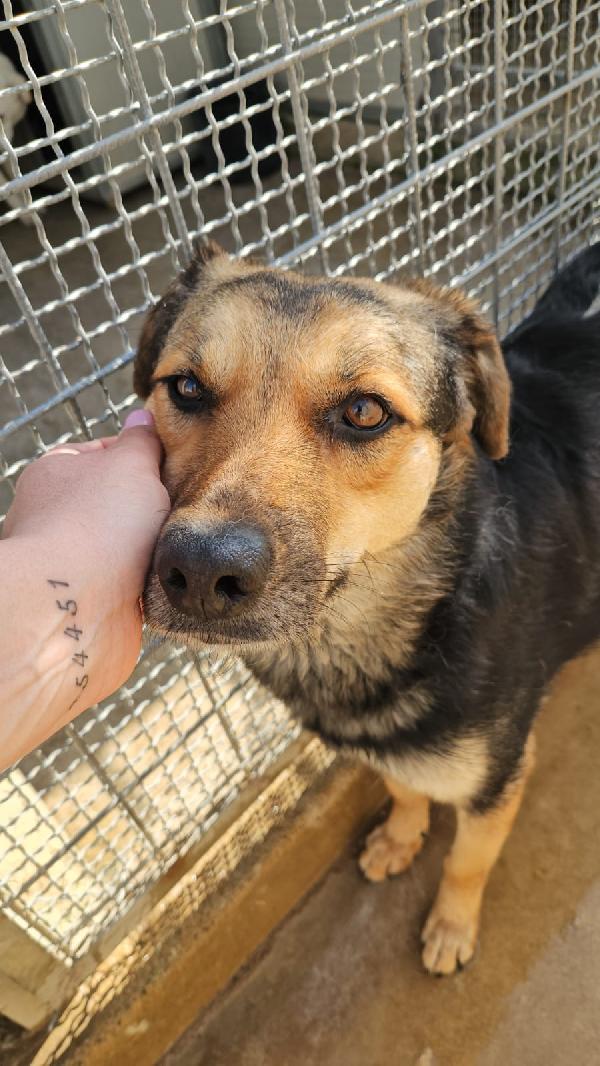 Andrea splendido simil Pastorino cerca casa  Foto 6