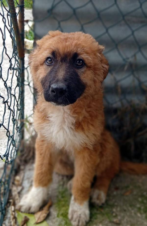 Tonino Sandrina E Marisella Cuccioli 