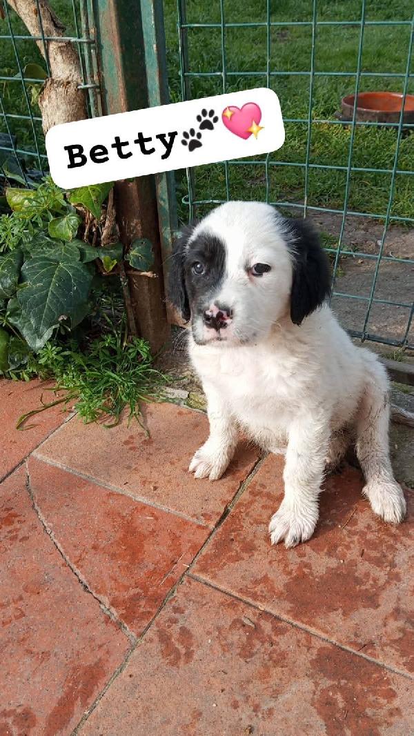 Betty E Nadia Cucciole 