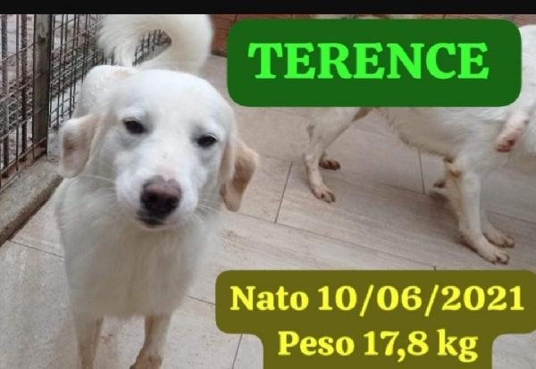 Terence/Noemi 4Anni E 1/2 Belli Ed Invisibili! Calabria