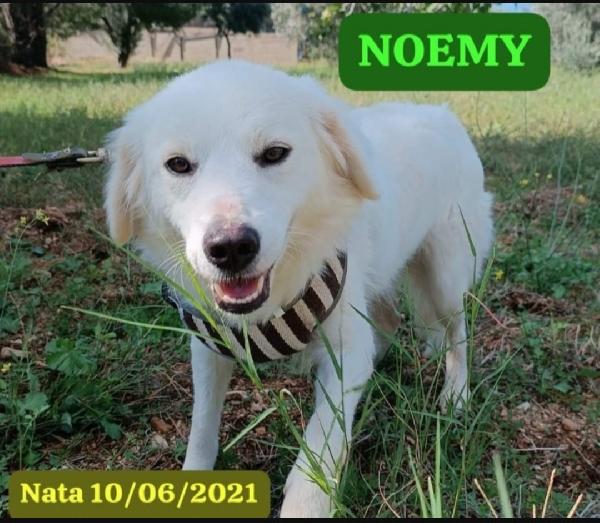 Terence/Noemi 4anni e 1/2 belli ed invisibili! CALABRIA Foto 2