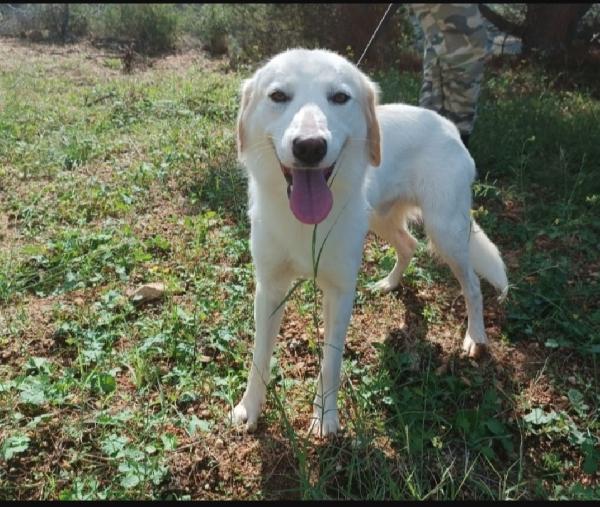 Terence/Noemi 4anni e 1/2 belli ed invisibili! CALABRIA Foto 3