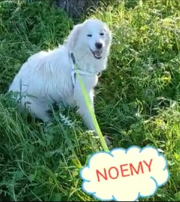 Terence/Noemi 4anni e 1/2 belli ed invisibili! CALABRIA Foto 6