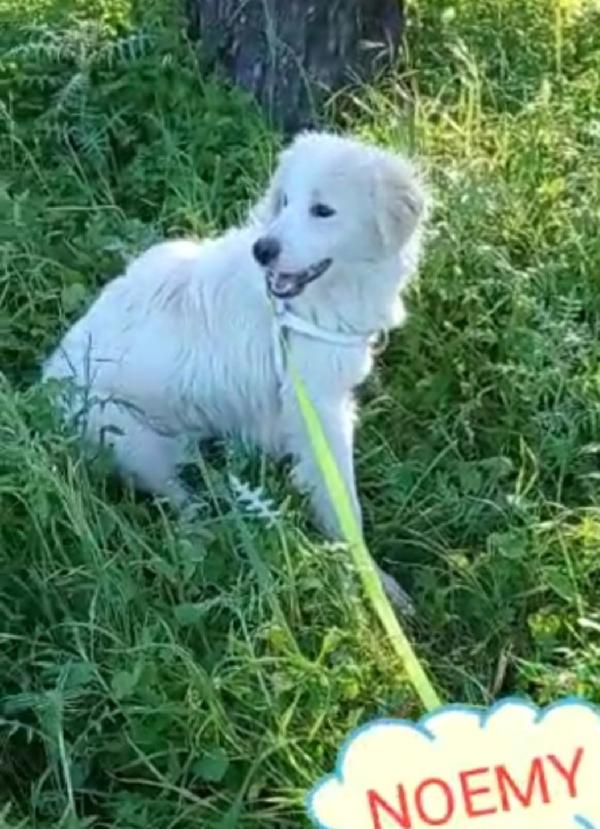 Terence/Noemi 4anni e 1/2 belli ed invisibili! CALABRIA Foto 7