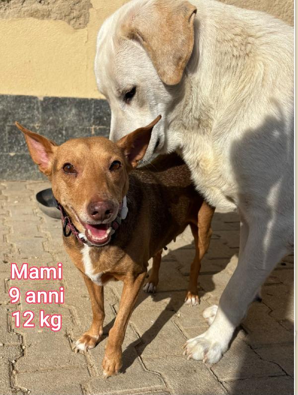 11 mesi: timo, escluso da tutti Foto 5