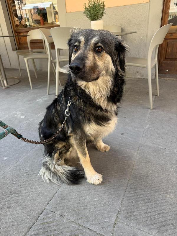 Cora Cerca Con Urgenza Nuova Famiglia 