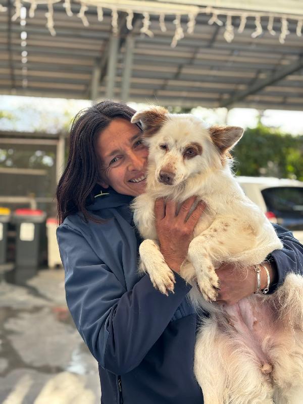 Luna cagnolina visibile a Ferrara  Foto 2