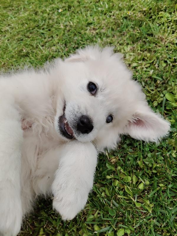 UNA MAMMA PER SID Foto 2