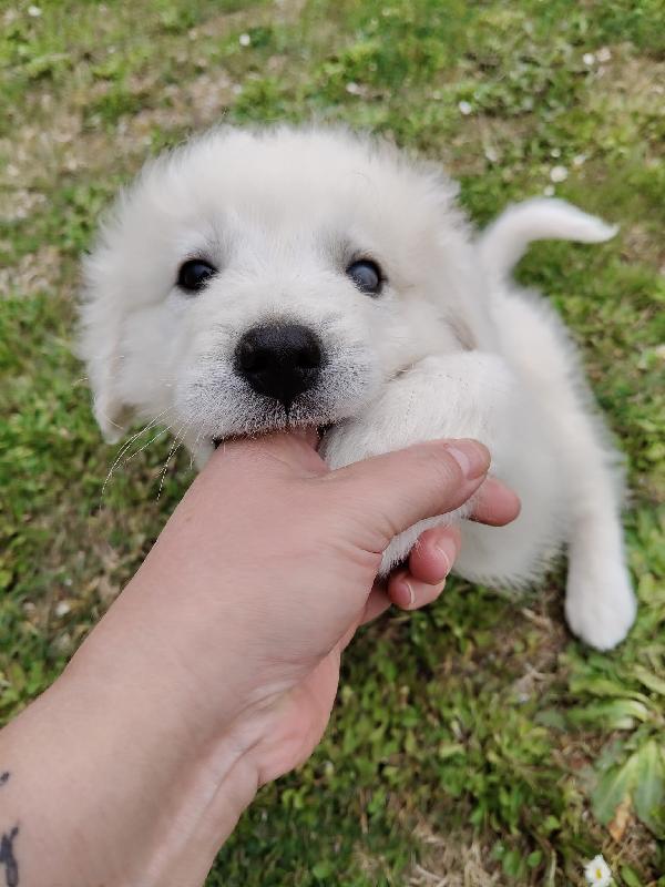 UNA MAMMA PER SID Foto 3