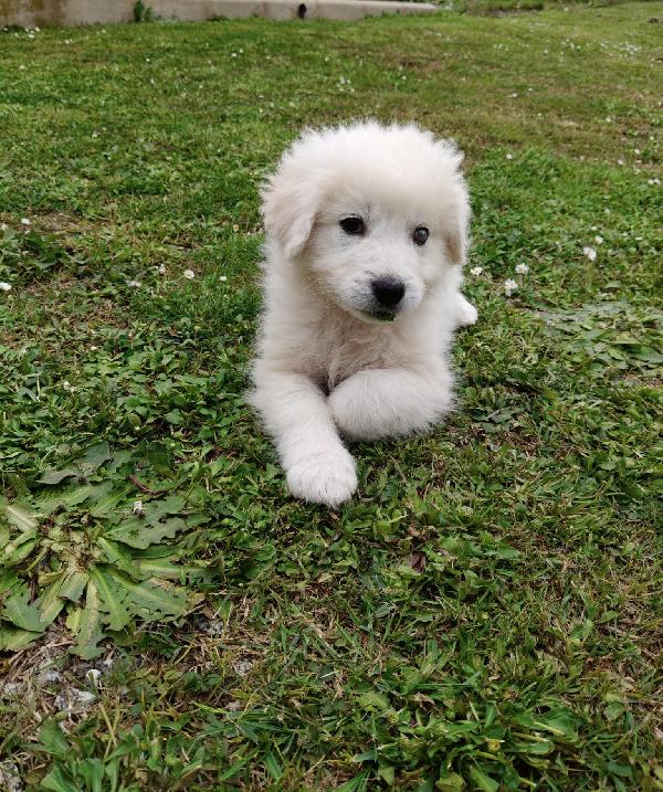 UNA MAMMA PER SID Foto 4