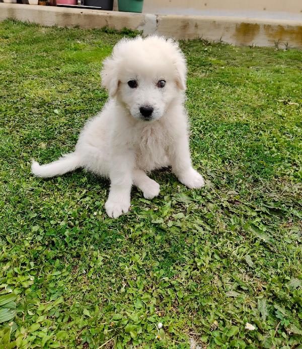 UNA MAMMA PER SID Foto 5