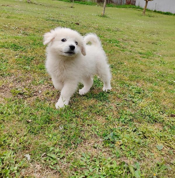 UNA MAMMA PER SID Foto 7