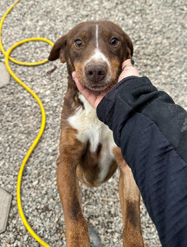 Rudy 4 anni Taglia piccola  Foto 2