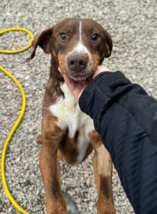 Rudy 4 anni Taglia piccola  Foto 4