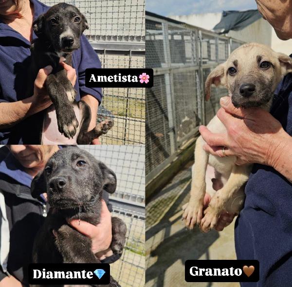 Maschietti E Femminuccia 3 Mesi Taglia Media 