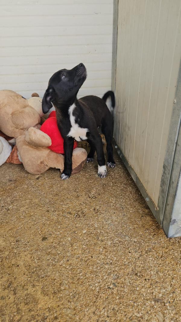 Lipari: 3 mesi taglia contenuta  Foto 5