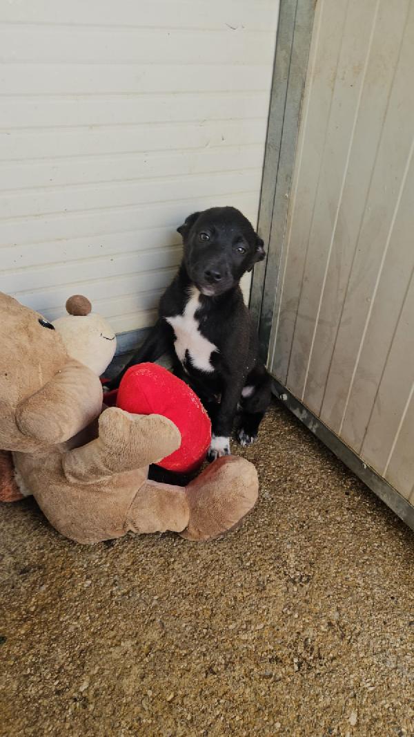 Lipari: 3 mesi taglia contenuta  Foto 6