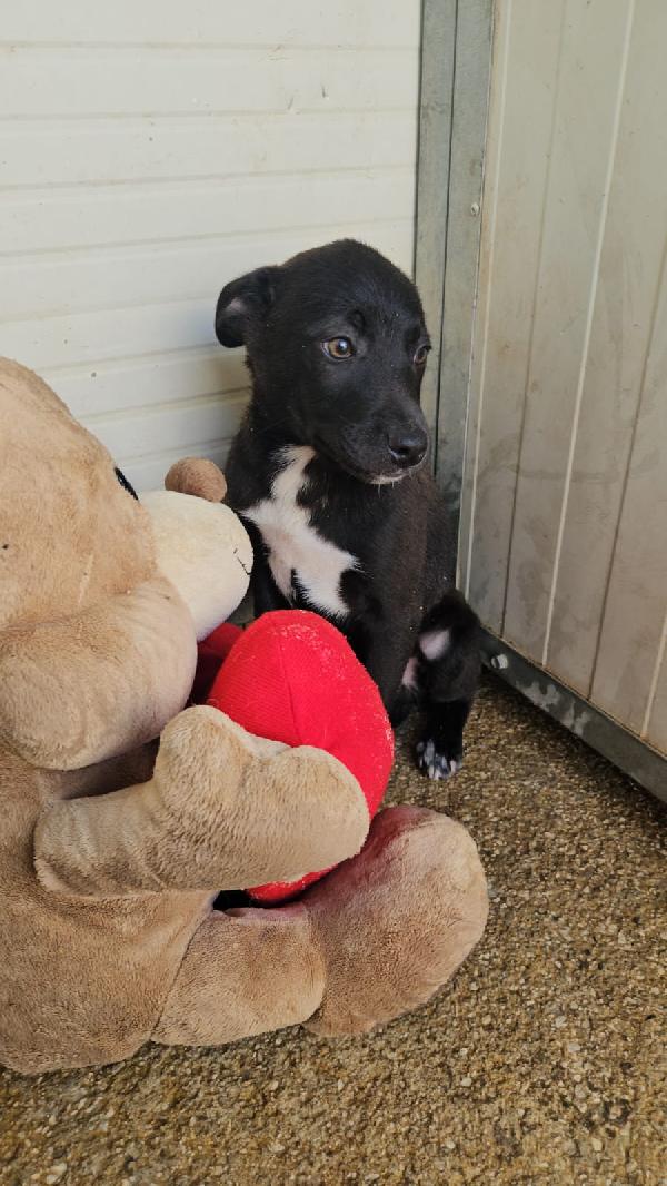 Lipari: 3 mesi taglia contenuta  Foto 7