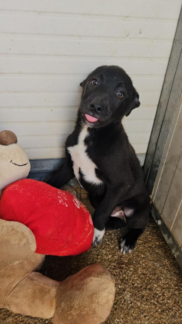 Lipari: 3 mesi taglia contenuta  Foto 8