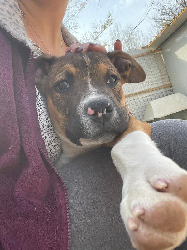 SOS SOS CHOCO Foto 5