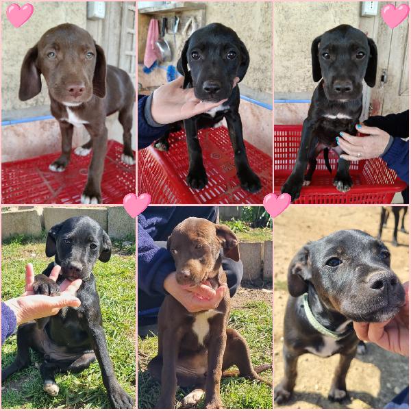 Sorelline Cercano Casa 